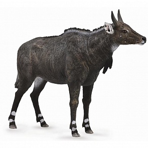 Фигурка животного - Антилопа нильгау, размер M (Сollecta, 88764b)